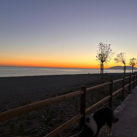 Casa Las Toro Playa 奇尔切斯 外观 照片